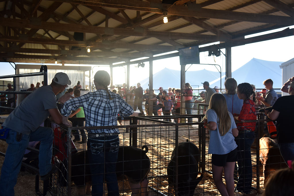 Competitors watch from the sidelines with their swines during the swine judging